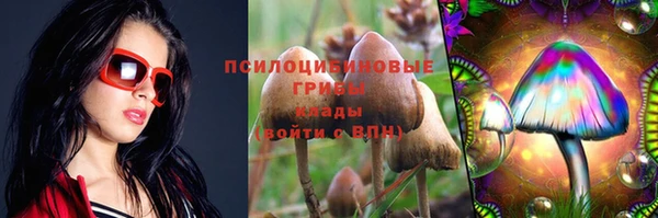 не бодяженный Волоколамск